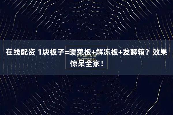 在线配资 1块板子=暖菜板+解冻板+发酵箱？效果惊呆全家！