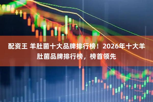 配资王 羊肚菌十大品牌排行榜！2026年十大羊肚菌品牌排行榜，榜首领先